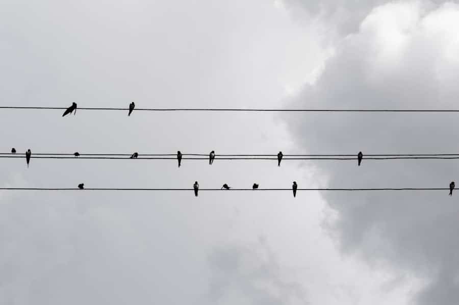 communicatiestrategie
