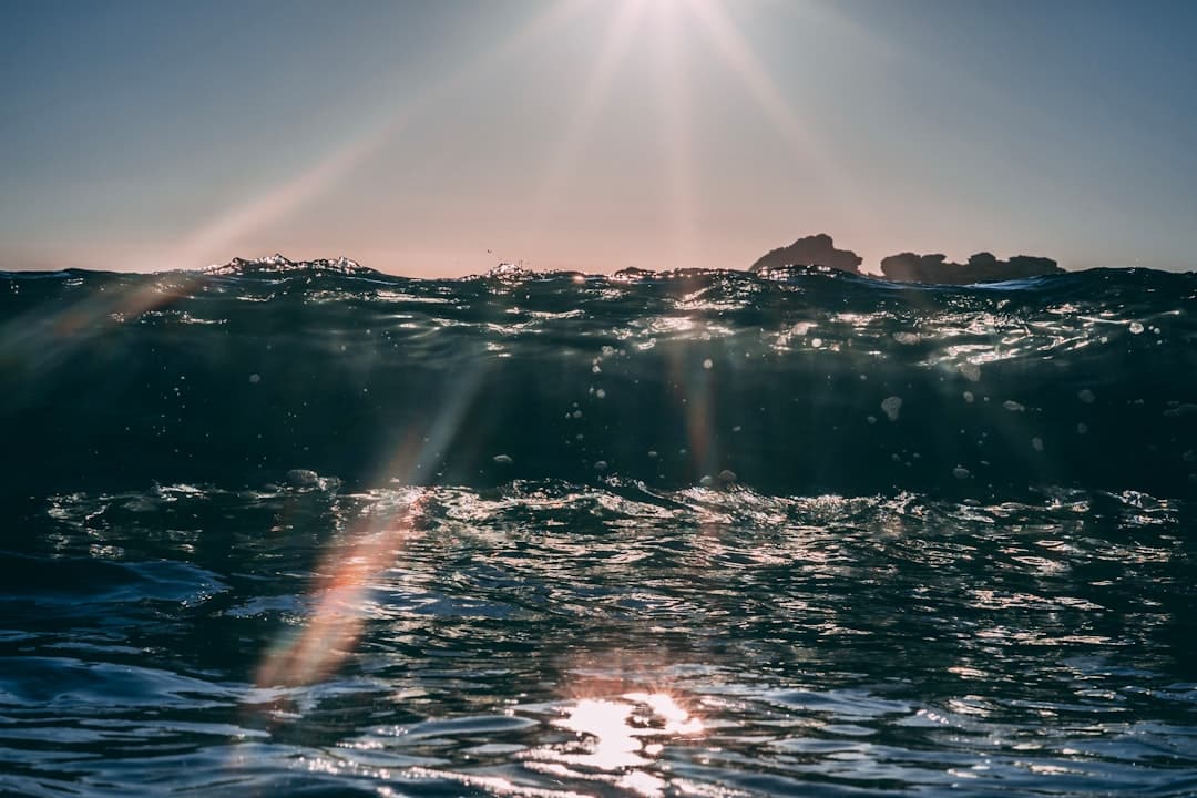 Photo transparency