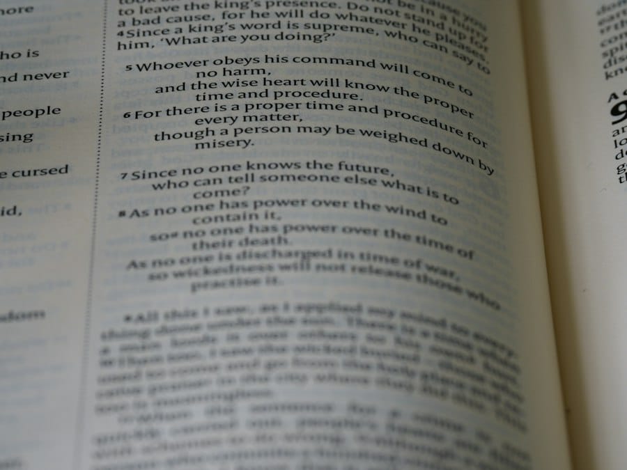 word choice persuasion effect